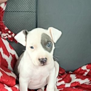 Meet your Posher, Jami